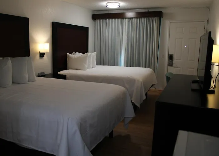 Motel: Pine Tree Inn